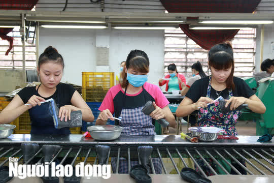 Đề xuất giảm 50% mức hưởng nếu rút bảo hiểm xã hội một lần: Đừng đẩy thiệt thòi cho người lao động - Ảnh 1.