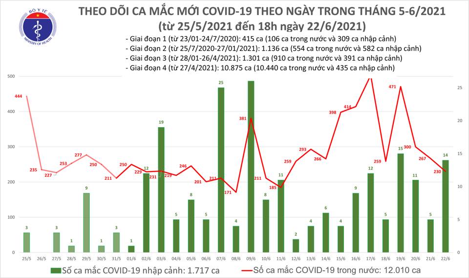Ngày 22-6, Việt Nam có 248 ca Covid-19, 93 người khỏi bệnh - Ảnh 1.