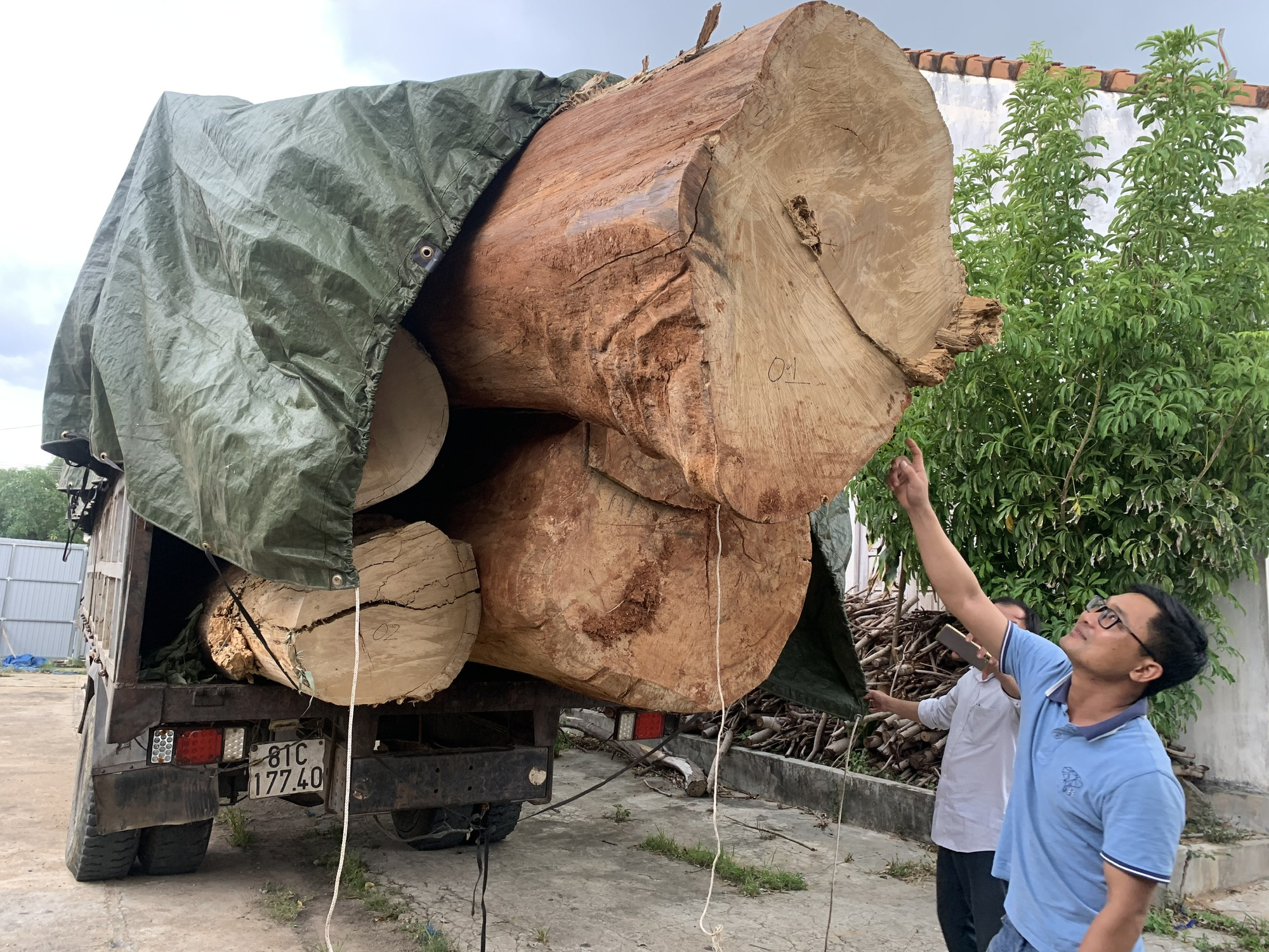 Chuyện lạ gỗ lậu cổ thụ: Kiểm lâm báo cáo 1 nơi, kết quả điều tra 1 nẻo
