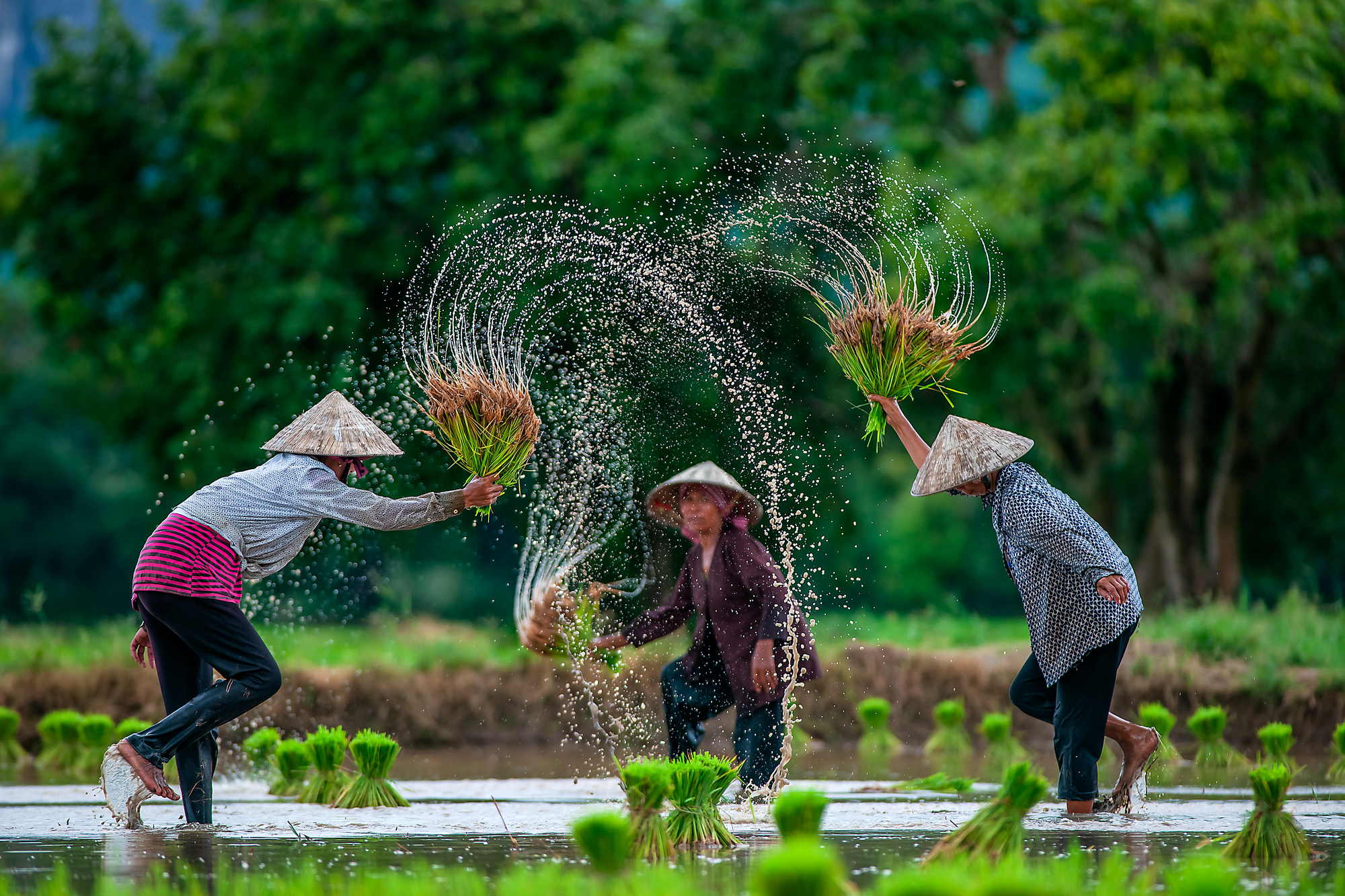 Nét đẹp lao động: Gam màu tươi sáng cho ngày mới - Ảnh 5.