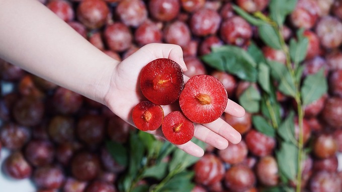 Mận Ruby Sơn La 230.000 đồng một kg - Ảnh 1.