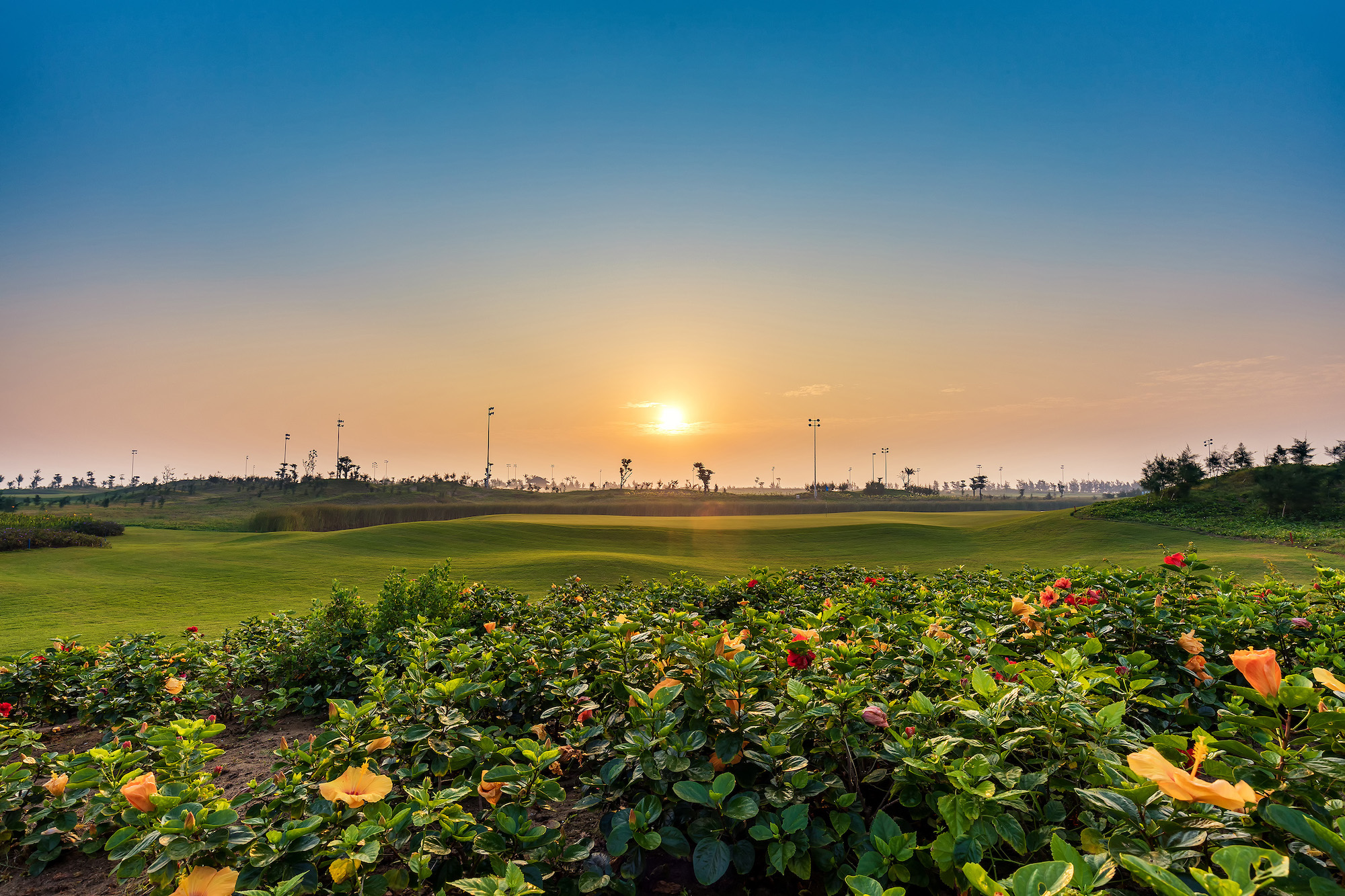 S&acirc;n golf Sầm Sơn được mở cửa đ&oacute;n kh&aacute;ch ngo&agrave;i tỉnh - Ảnh 1.