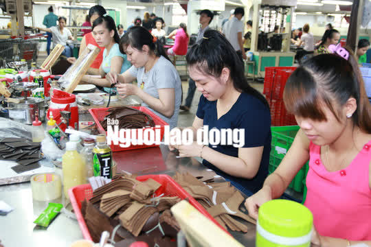 Không được hưởng chế độ ốm đau