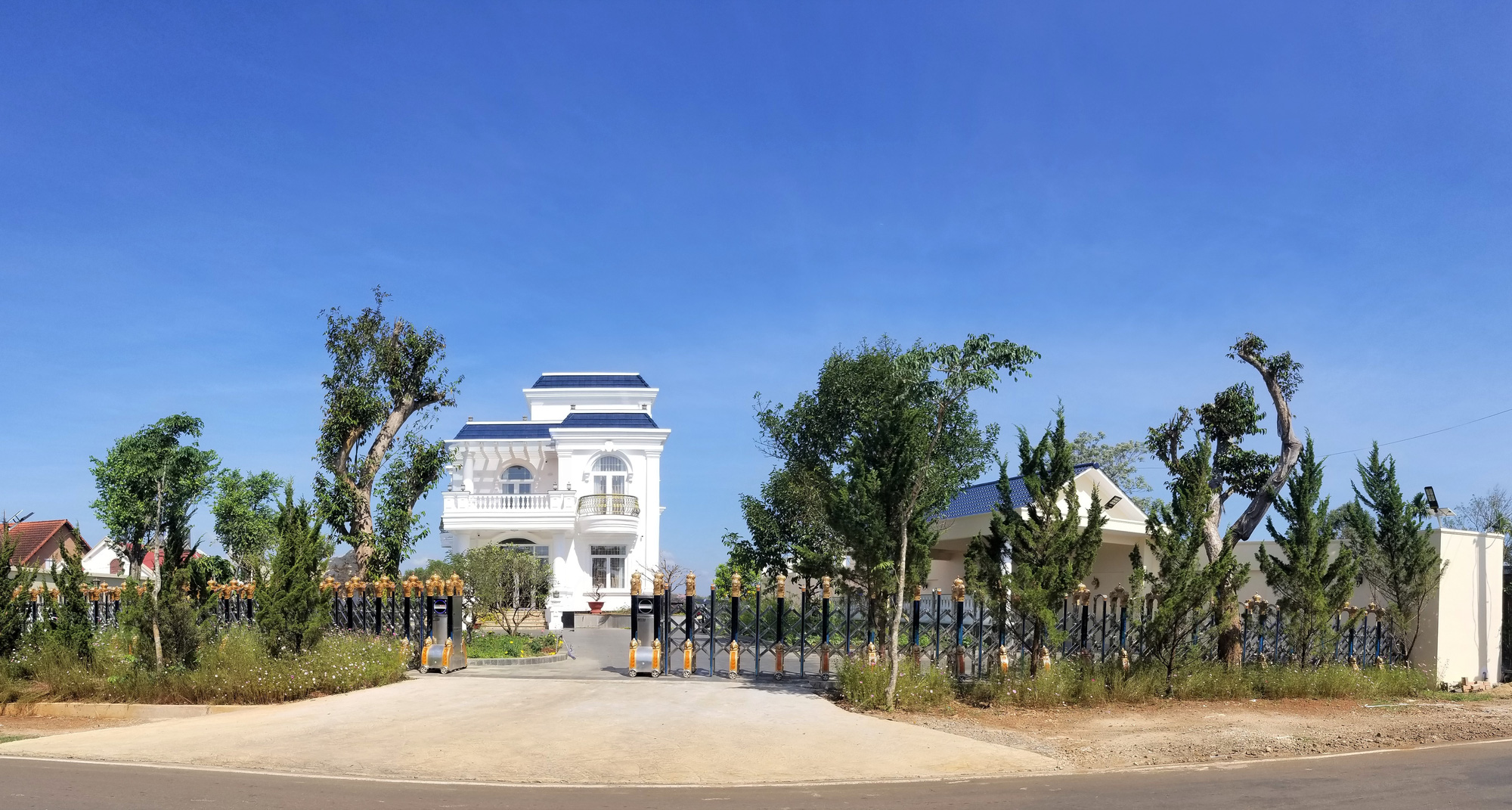 Xử lý cho nghiêm!