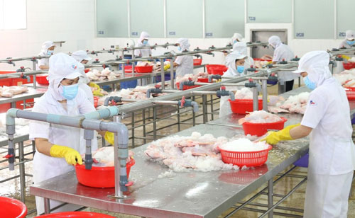 Không lơ là, chủ quan trước dịch bệnh - Ảnh 1.