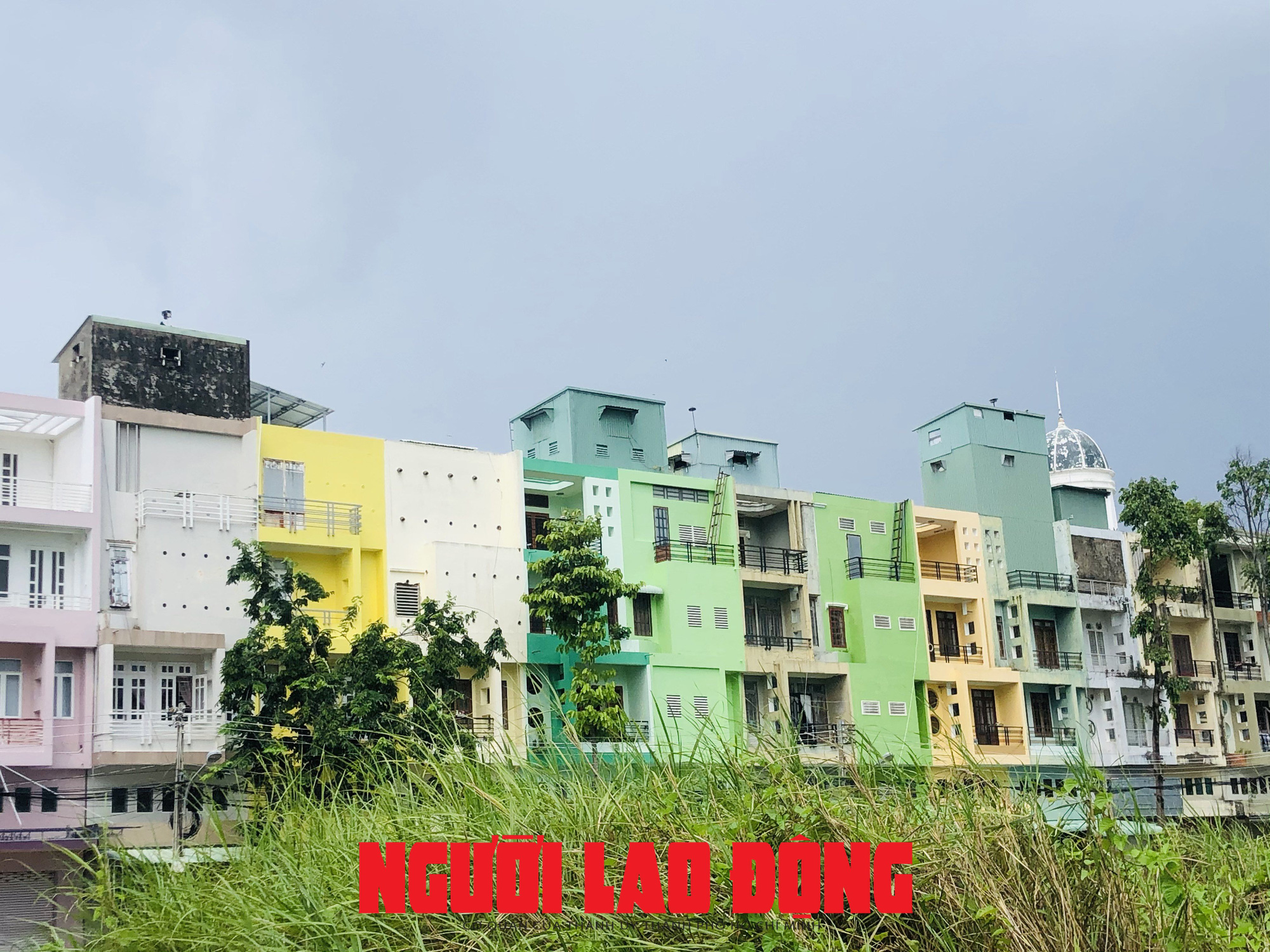 Mở loa dụ chim yến qu&aacute; giờ, 4 hộ d&acirc;n n&oacute;i &ldquo;kh&ocirc;ng biết bị xử phạt&rdquo; - Ảnh 2.