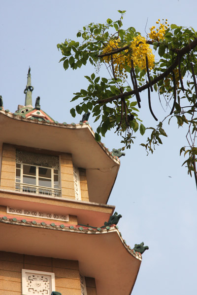 Những m&ugrave;a hoa đẹp đến nao l&ograve;ng - Ảnh 1.