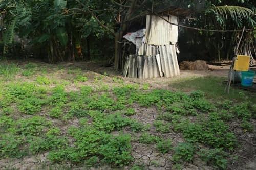 Giữa thị phi của Phi Nhung, dân mạng soi gia cảnh Hồ Văn Cường - Ảnh 4.