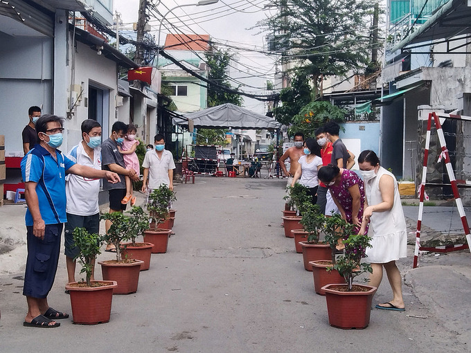 Cuộc thi chăm s&oacute;c c&acirc;y trong x&oacute;m c&aacute;ch ly - Ảnh 1.