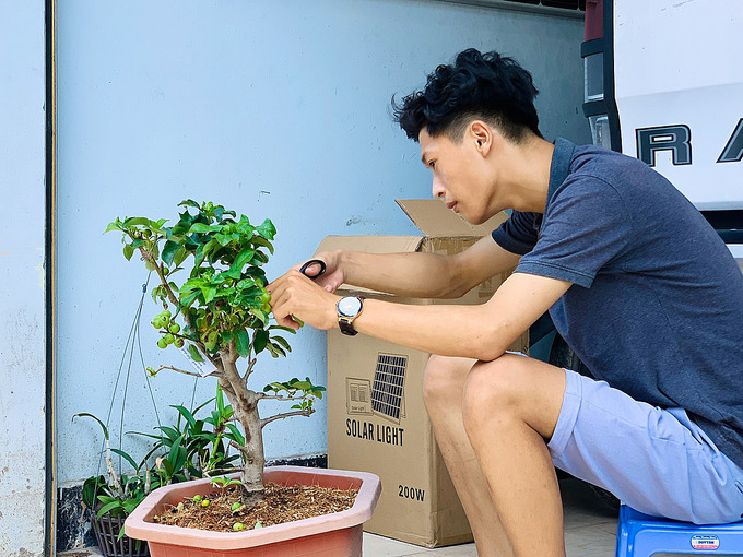 Cuộc thi chăm s&oacute;c c&acirc;y trong x&oacute;m c&aacute;ch ly - Ảnh 2.