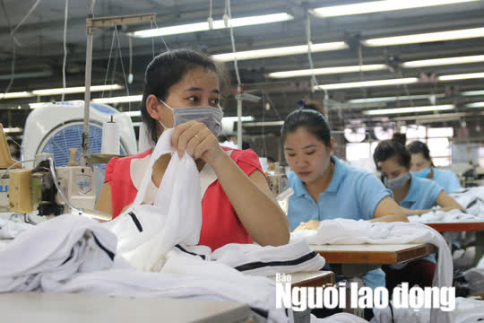 Đề xuất giảm 50% mức hưởng nếu r&uacute;t bảo hiểm x&atilde; hội một lần: Giữ 50% c&ograve;n lại để l&agrave;m g&igrave;? - Ảnh 1.
