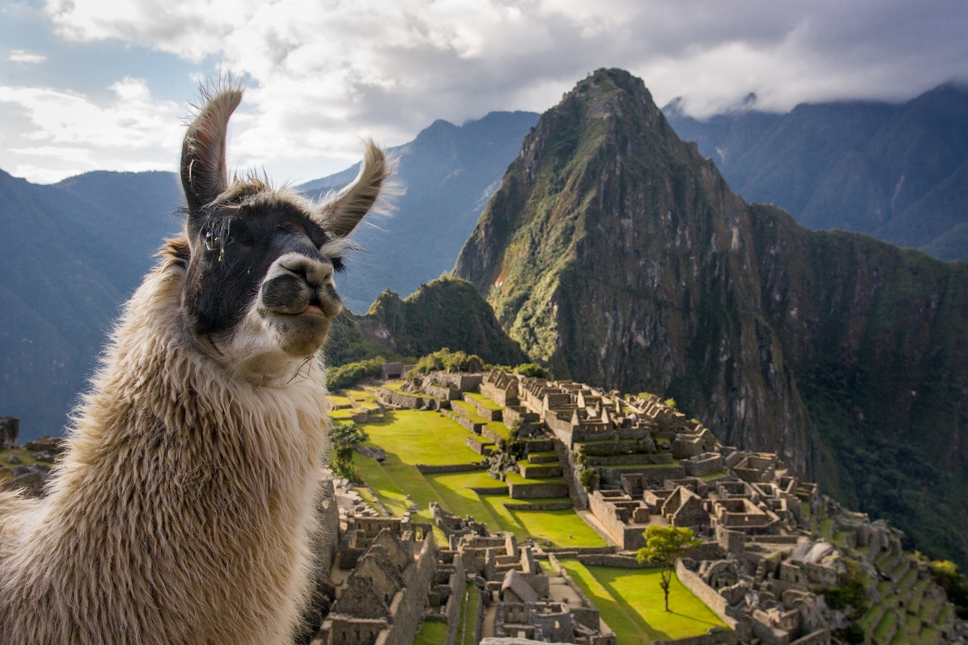Mở cửa đường mòn dẫn đến "thành phố bị mất của người Inca"