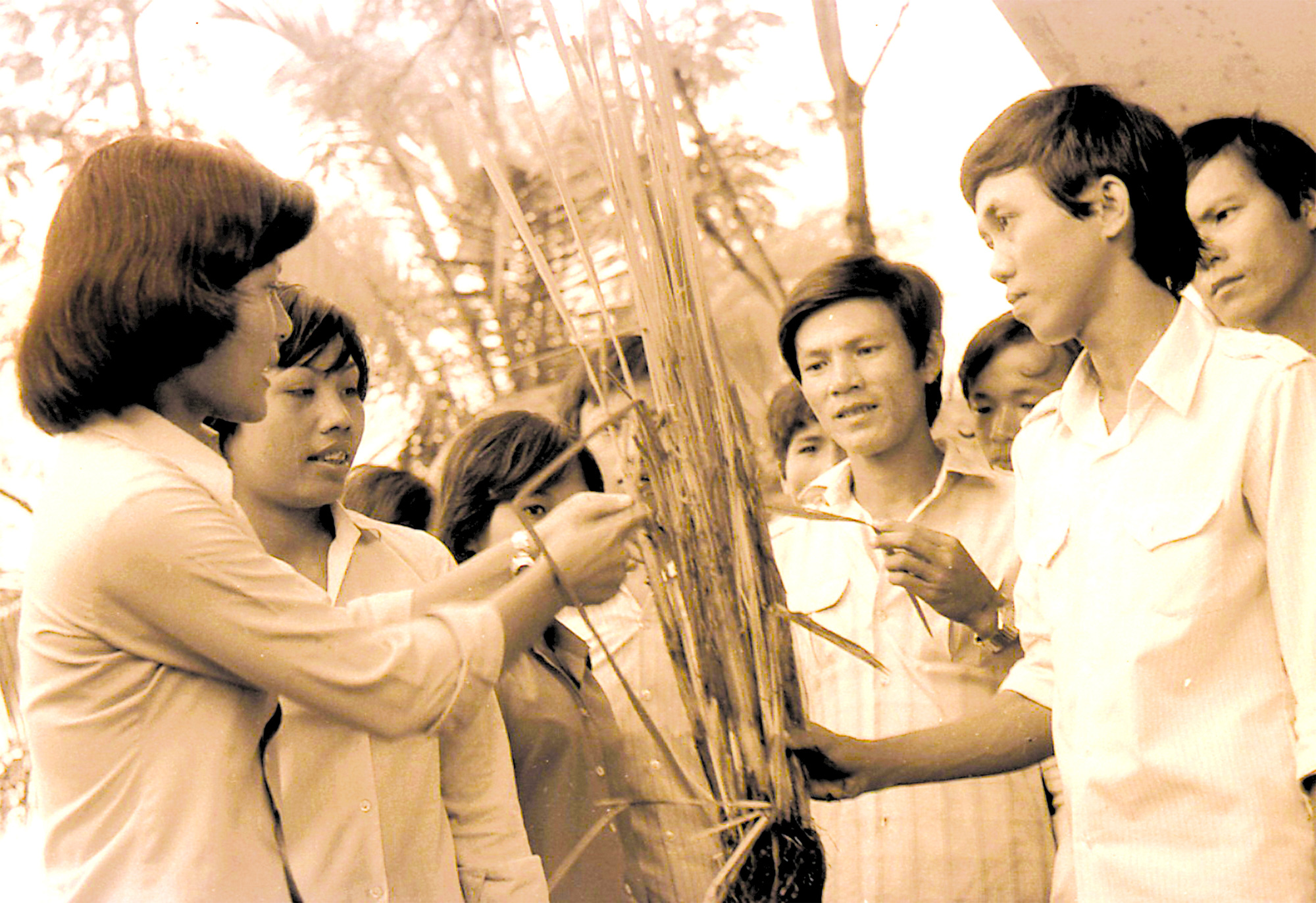 Từ khó khăn vươn lên dẫn đầu