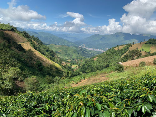 Pha Đin đ&atilde; th&agrave;nh điểm đến - Ảnh 3.