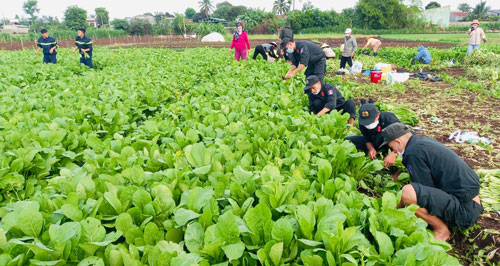 Nghĩa tình hướng về TP HCM