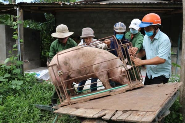 Một phụ nữ gửi "món quà lạ" cho người dân vùng dịch ở TP HCM