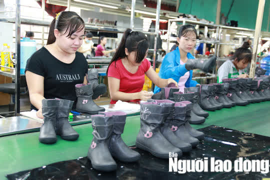 N&Oacute;NG: Hướng dẫn thực hiện hỗ trợ doanh nghiệp, người lao động gặp kh&oacute; khăn do Covid-19 - Ảnh 2.