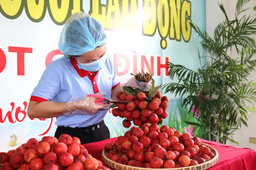 Tăng sức đề kháng cho công nhân