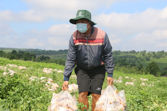 Chuyện đẹp Bầu bí thương nhau (*): Cọng rau, củ quả thơm thảo nghĩa tình - Ảnh 3.