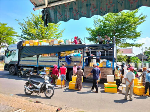 Chuyện đẹp "Bầu bí thương nhau" (*): Cọng rau, củ quả thơm thảo nghĩa tình