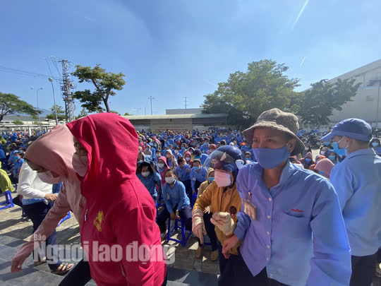 Lấy mẫu xét nghiệm 3.000 công nhân công ty có ca dương tính SARS-CoV-2 ở Đà Nẵng - Ảnh 8.
