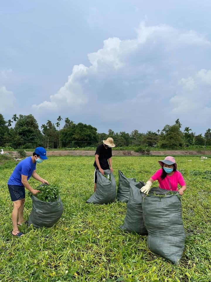 Hoa hậu Kh&aacute;nh V&acirc;n c&ugrave;ng nhiều nghệ sĩ tiếp tục hỗ trợ người d&acirc;n chống dịch - Ảnh 5.
