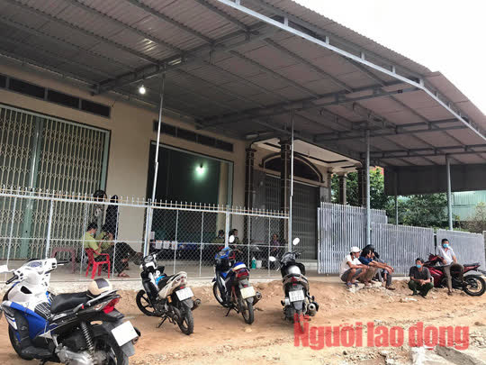 Chuyện lạ: Nhiều người c&ugrave;ng nhận chủ số gỗ lậu lớn vừa ph&aacute;t hiện - Ảnh 3.