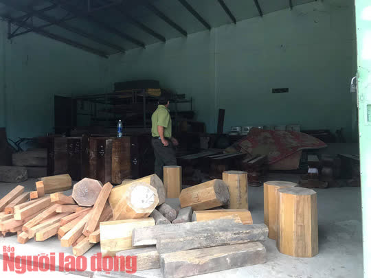Chuyện lạ: Nhiều người c&ugrave;ng nhận chủ số gỗ lậu lớn vừa ph&aacute;t hiện - Ảnh 1.