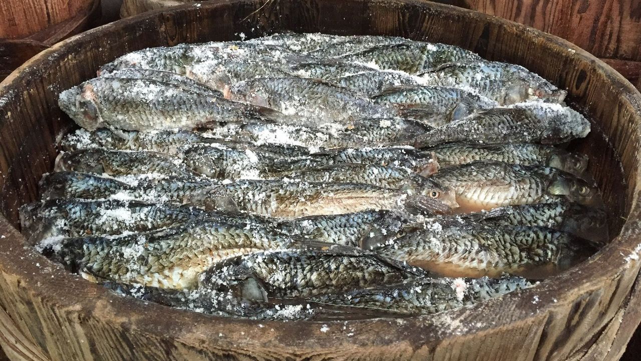 Món sushi lên men lưu truyền qua nhiều thế kỷ ở Nhật - Ảnh 2.