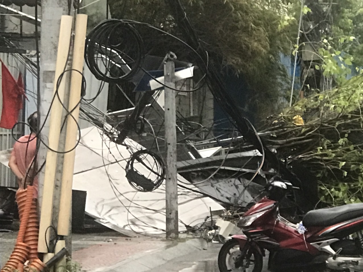 TP HCM: Mưa to kèm giông lốc, nhiều cây xanh ngã đổ - Ảnh 5.