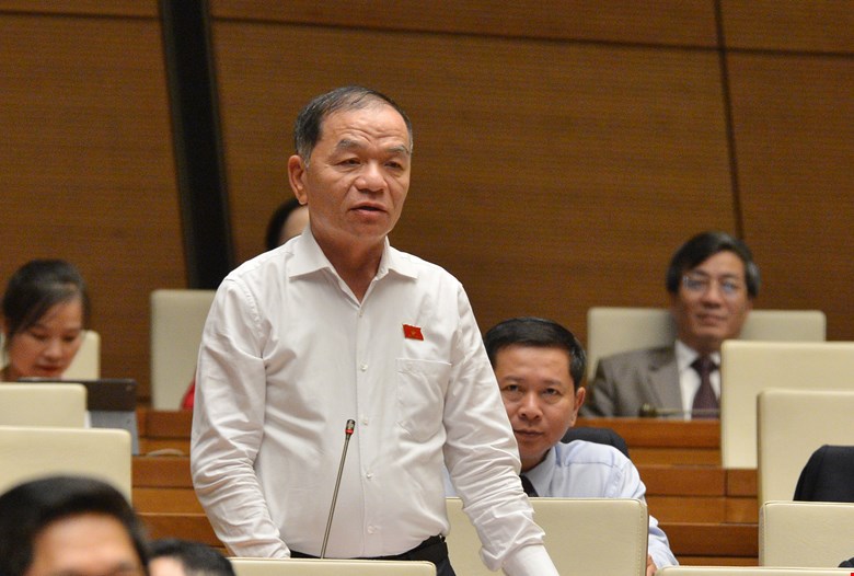 Đại biểu Quốc hội Lê Thanh Vân đề cập tới vụ "bánh mì không phải thực phẩm thiết yếu"
