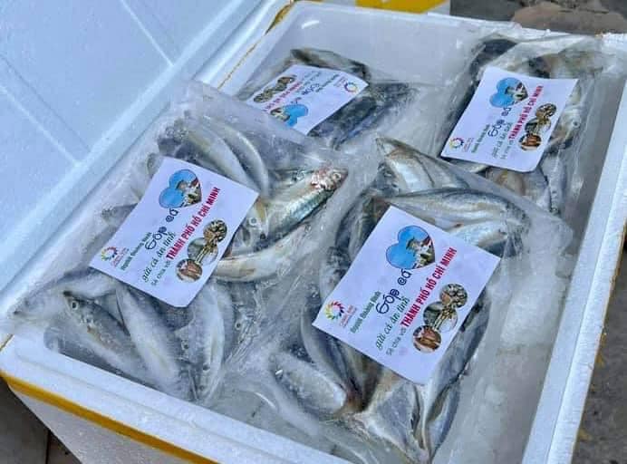 Quảng B&igrave;nh g&oacute;p 27,5 tấn t&ocirc;m c&aacute; c&ugrave;ng c&ocirc;ng nh&acirc;n TP HCM chống dịch - Ảnh 4.