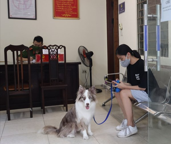 16 hành vi vi phạm phòng chống dịch có thể bị phạt tiền tới 200 triệu đồng, phạt tù tới 15 năm