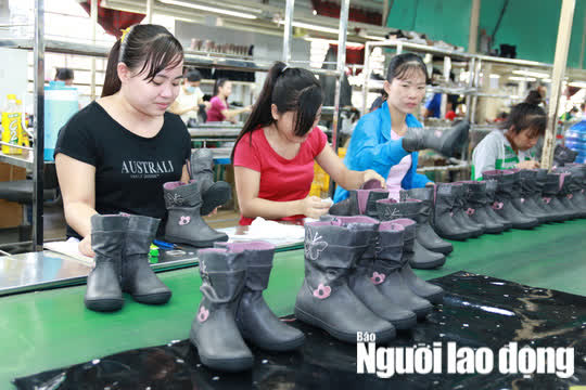Thu nhập t&iacute;nh đ&oacute;ng v&agrave; kh&ocirc;ng t&iacute;nh đ&oacute;ng bảo hiểm x&atilde; hội bắt buộc mới nhất  - Ảnh 2.