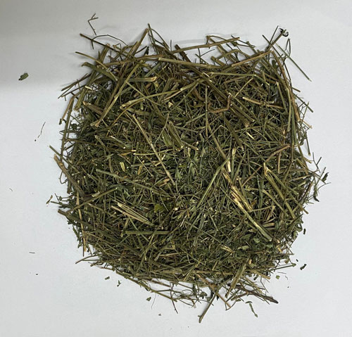 Hiểu đúng về thảo dược xuyên tâm liên