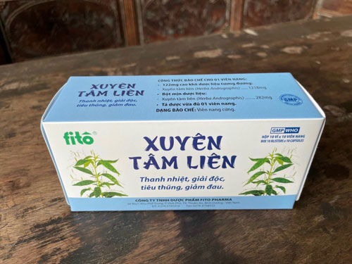 Hiểu đúng về thảo dược xuyên tâm liên - Ảnh 1.