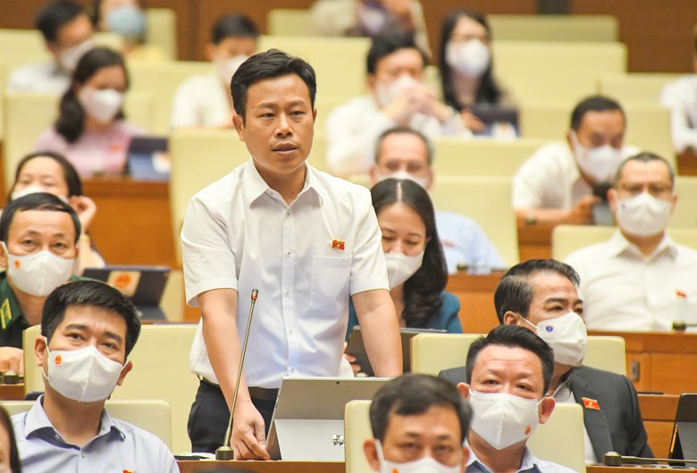 GS Lê Quân: Cần có chính sách để con em nghèo học giỏi đảm bảo quyền được học ĐH