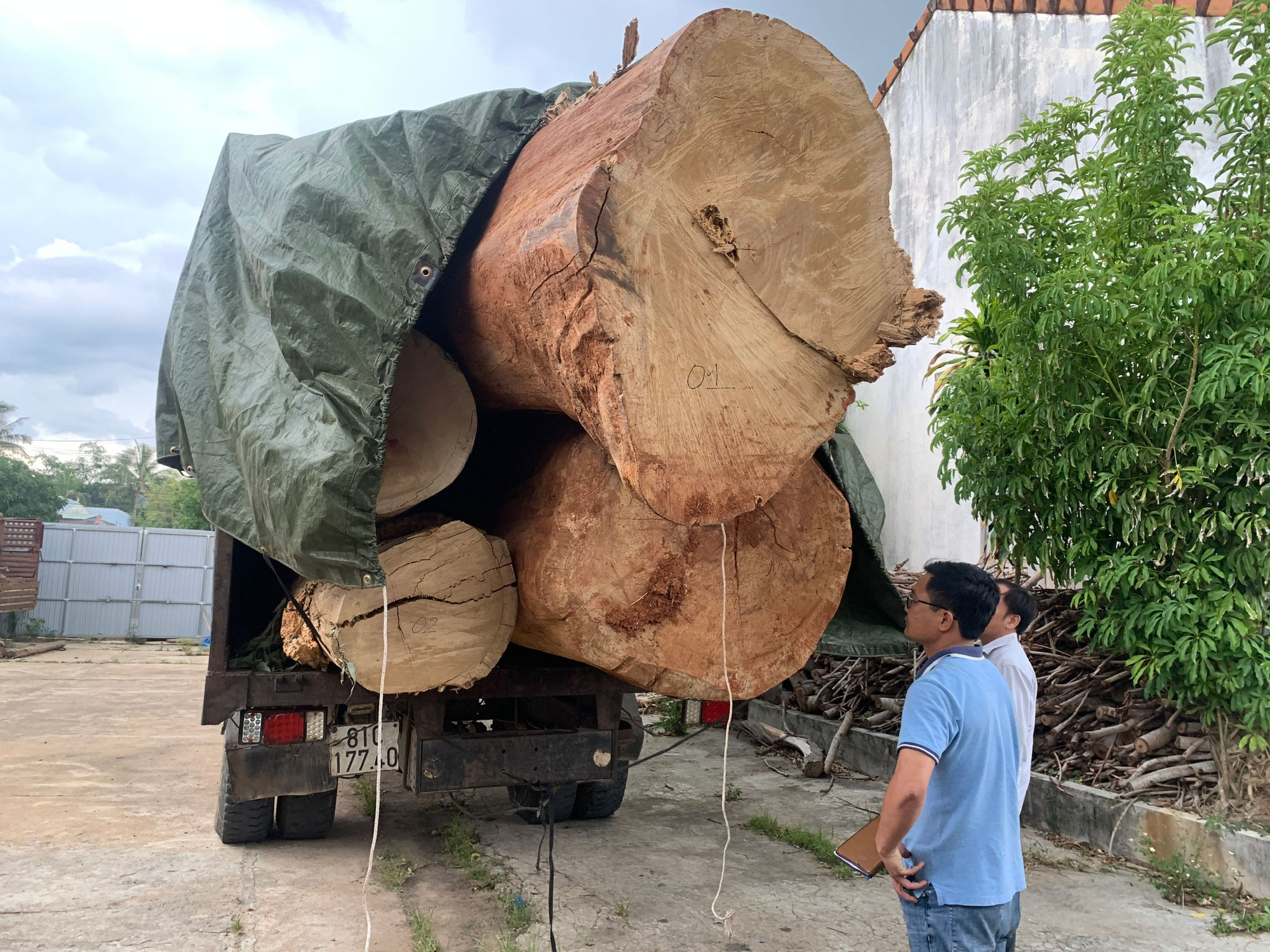 Tàn phá rừng Kbang