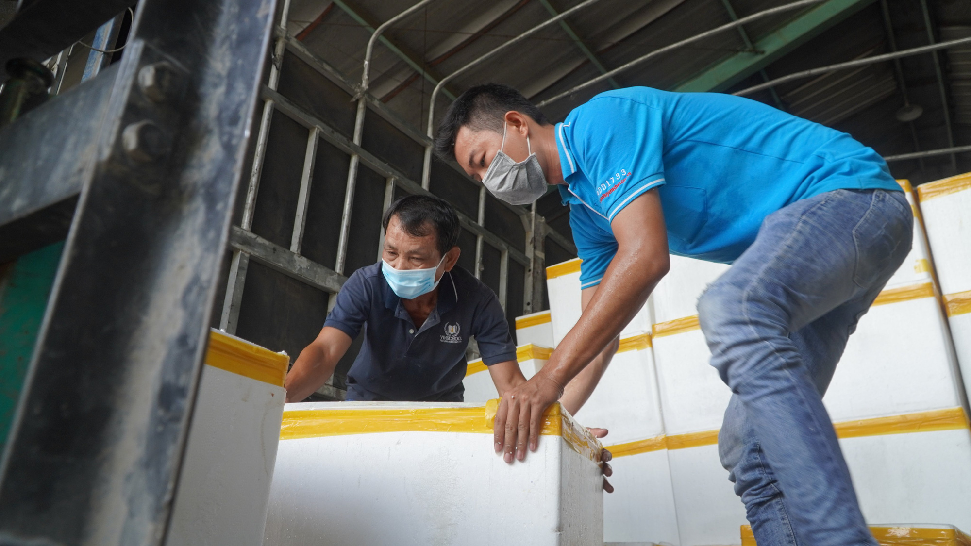 Hơn 3 tấn cá từ Quảng Bình vào đến tâm dịch TP HCM