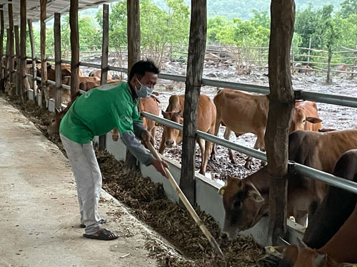 Linh hoạt ứng phó với đại dịch