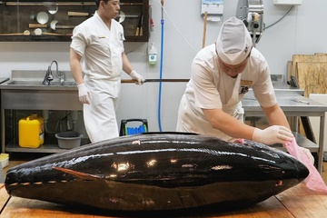Đầu bếp xẻ thịt cá ngừ vây xanh nặng 200 kg