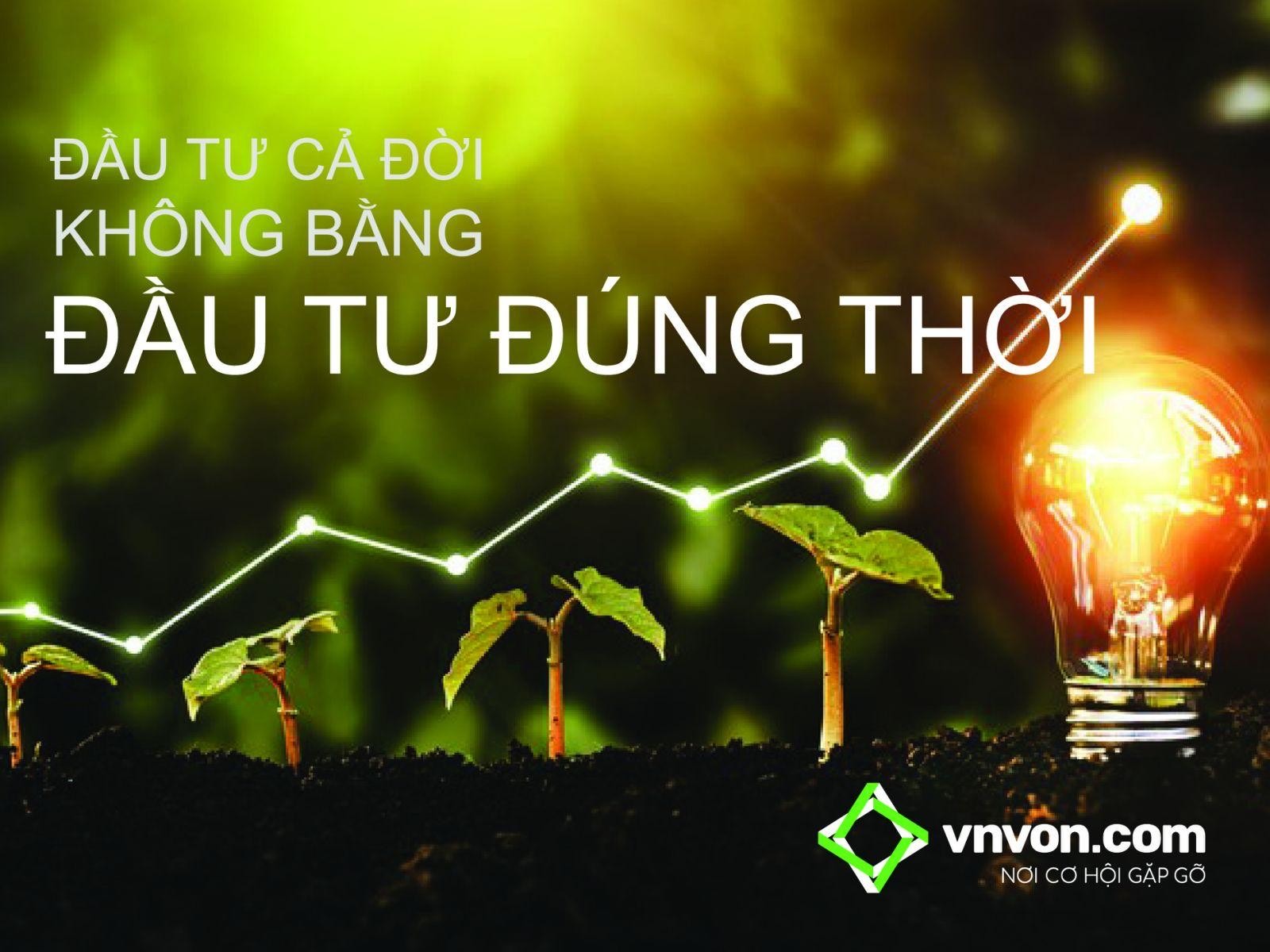 Vốn từ v&agrave;i chục triệu đồng, đầu tư g&igrave; trong m&ugrave;a dịch? - Ảnh 1.
