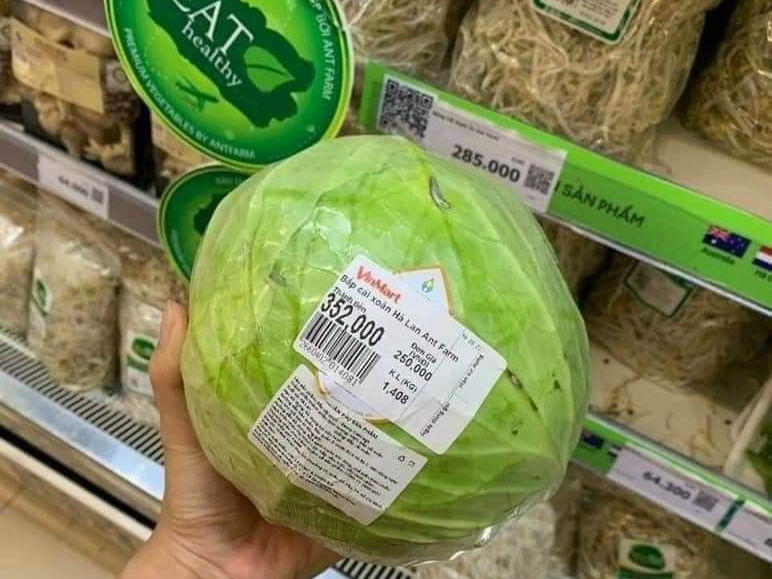 Thực hư siêu thị bán bắp cải 250.000 đồng/kg trong mùa dịch