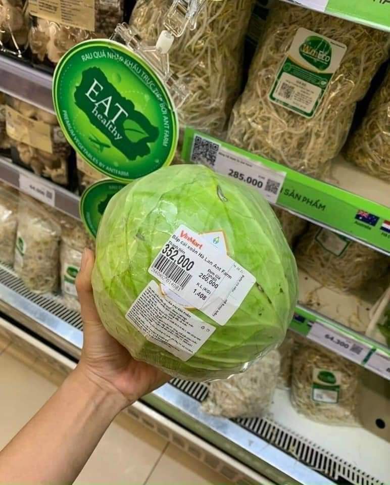 Thực hư si&ecirc;u thị b&aacute;n bắp cải 250.000 đồng/kg trong m&ugrave;a dịch - Ảnh 2.