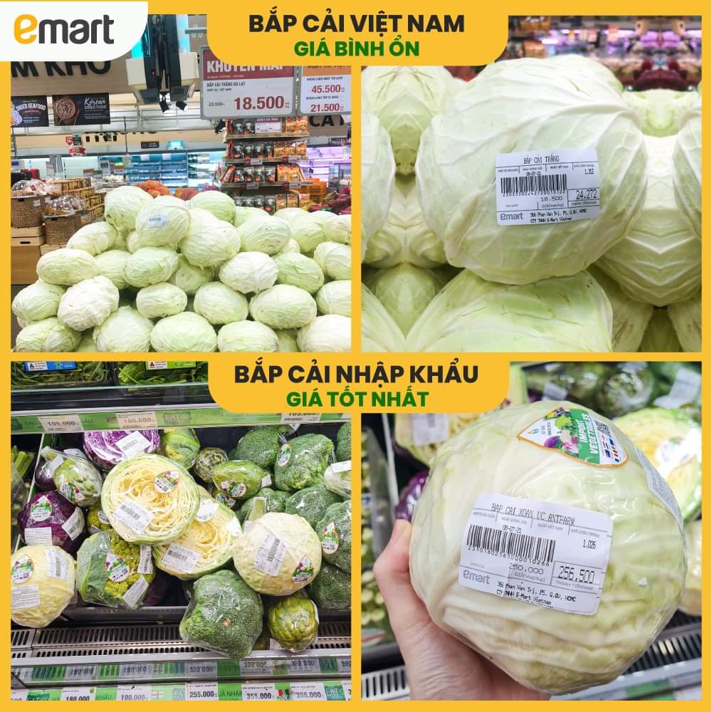 Thực hư si&ecirc;u thị b&aacute;n bắp cải 250.000 đồng/kg trong m&ugrave;a dịch - Ảnh 1.