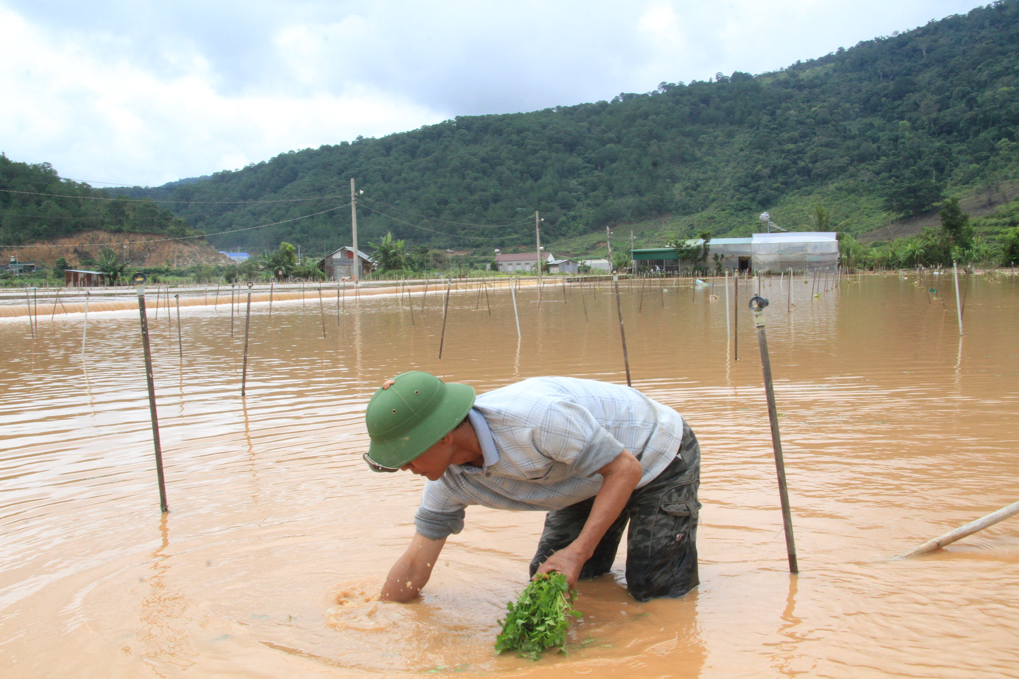 Lâm Đồng giải cứu thành công một gia đình bị lũ dữ cô lập