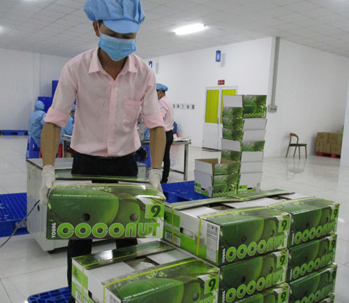 Một năm thực thi EVFTA: Nhiều ngành hưởng lợi