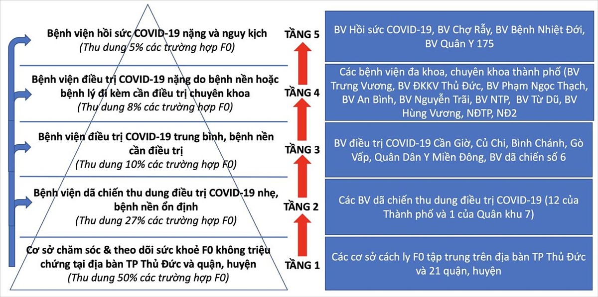 Thứ trưởng Bộ Y tế n&oacute;i về việc qu&aacute; tải điều trị bệnh nh&acirc;n Covid-19 - Ảnh 2.