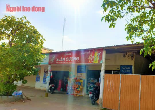 Xã cho doanh nghiệp mượn đất công để kinh doanh, thanh tra phát hiện nhưng… ngó lơ? - Ảnh 3.