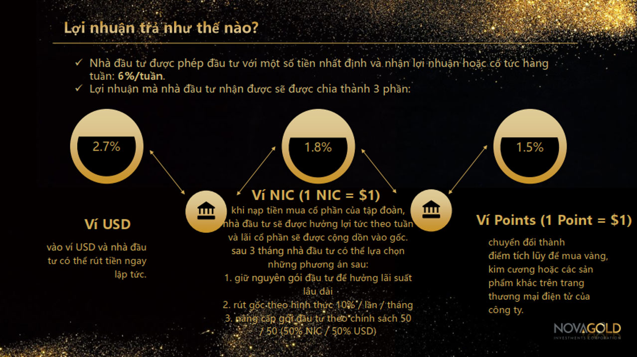 Lại sập bẫy đầu tư cổ phiếu nước ngo&agrave;i - Ảnh 1.